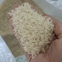 برنج|خوردنی و آشامیدنی|میبد, |دیوار