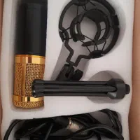 میکروفون حرفه ای BM-800