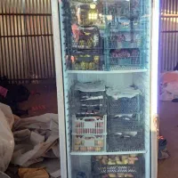 یخچال ایستاده