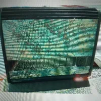 بخاری ازمایش