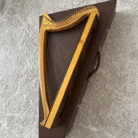 هارپ چنگ salvi کاملا نو