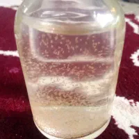 آرتمیا هچ شده