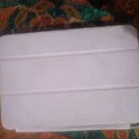 آی پدمینی 2