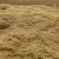 فروش کاه دیم گندم و جو