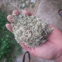 کاه یونجه ۱/۵ تن .. کیلوی ۳۶ مقطوع