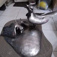 پرستو شهید مخصوص علامت  کاردست