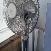 پنکه پای کوتاه