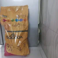 غذای سگ