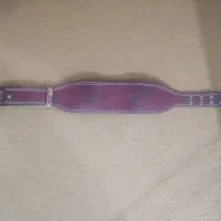 کمربند ایمنی بدنسازی