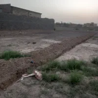 زمین فروشی بلوار شهید زارعان