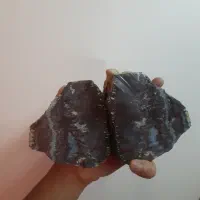 یک جفت عقیق شجر کلکسیونی