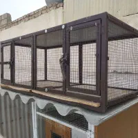 قفس آهنی