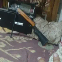 پرنده