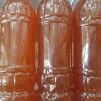 بزرگترین فروش ویژه ابغوره خانگی جمعه ۳۰ مرداد ماه