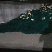 جل ماهی چشم11 بلندی 40 بغل خشابی 6طاقه 100یاردی