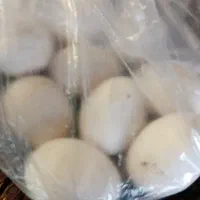 تخم غاز