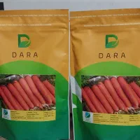 بذر هویج نانتس F1