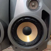 باند سونی و فیش