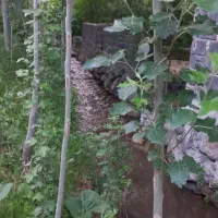 ویلا باغ حیدره بالای شهر