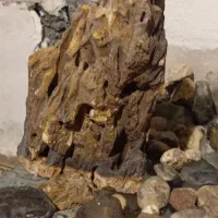 سنگ آکواریوم