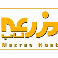 ویزتور پخش گرم با خودرو