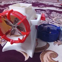 سبزی خورد کن