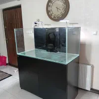 اکواریوم اب شور red sea مانستر دیسکس