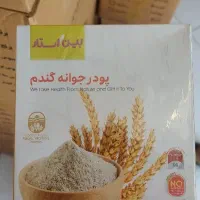 پودر جوانه گندم بین استار