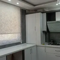 زبرا دومکانیزم مستقیم از درب کارخانه