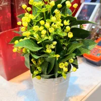 گل های مصنوعی کپی برابر اصل حراج