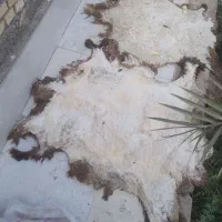 کشتار روز