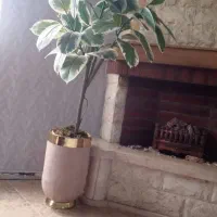 درختچه مصنوعی  و  گلدان
