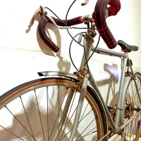 دوچرخه کلکسیون