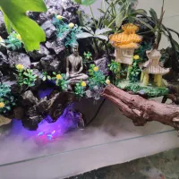 آکواریوم تراریوم