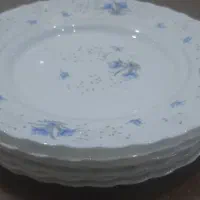 ۷ عدد پلوخوری