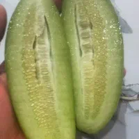 کمبزه خربزه ترشی خرفه خرفه