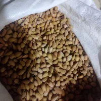 بادام