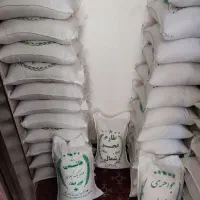 برنج هاشمی آستانه فجر