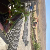 استخدام بلوک زن