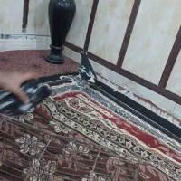 کفتر