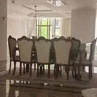 خدمتکار خانم