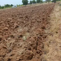زمین-کشاورزی
