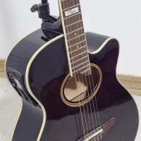 گیتار تاگیما پیکاپ‌دار همراه با هارد کیس