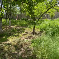 فروش-باغ-درمحدوده-گنبد