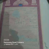 فروش زمین چهار فرزندی