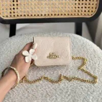 mini bag|کیف، کفش، کمربند|کاشان, بهشتی|دیوار