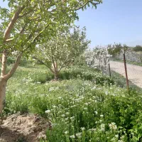 باغ-قطره-ای-در-شهرستان-اهر