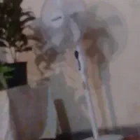 پنکه