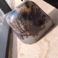 سنگ شجر
