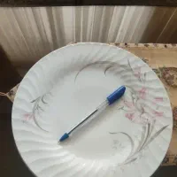 بشقاب چینی|ظروف سرو و پذیرایی|نیشابور, فردوس شمالی|دیوار
